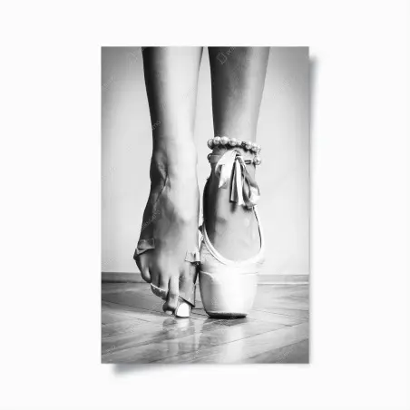 Poster graceful ballet pointe • Wallissimo®