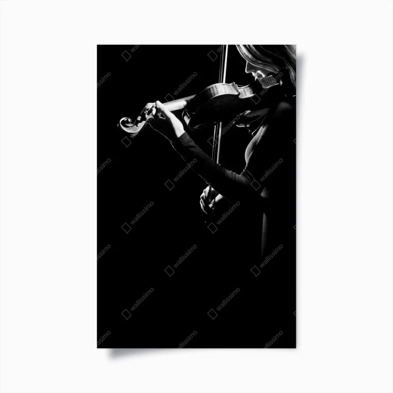 Poster elegant violinist in silhouette