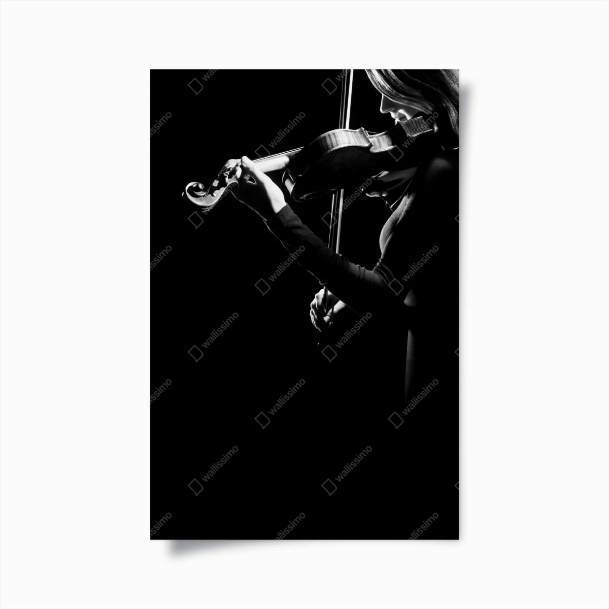 Poster elegant violinist in silhouette • Wallissimo® Poster elegant violinist in silhouette • Wallissimo®