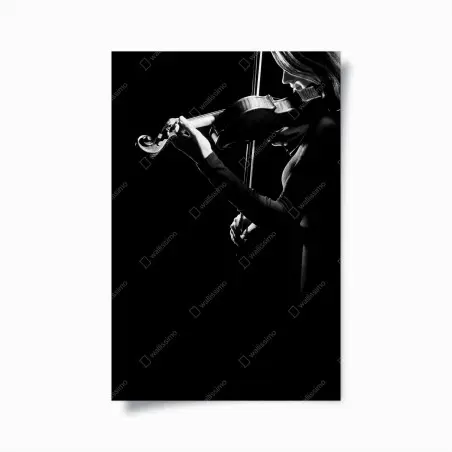 Poster elegant violinist in silhouette • Wallissimo®