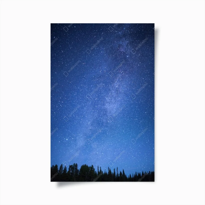 Poster starlit Milky Way over forest