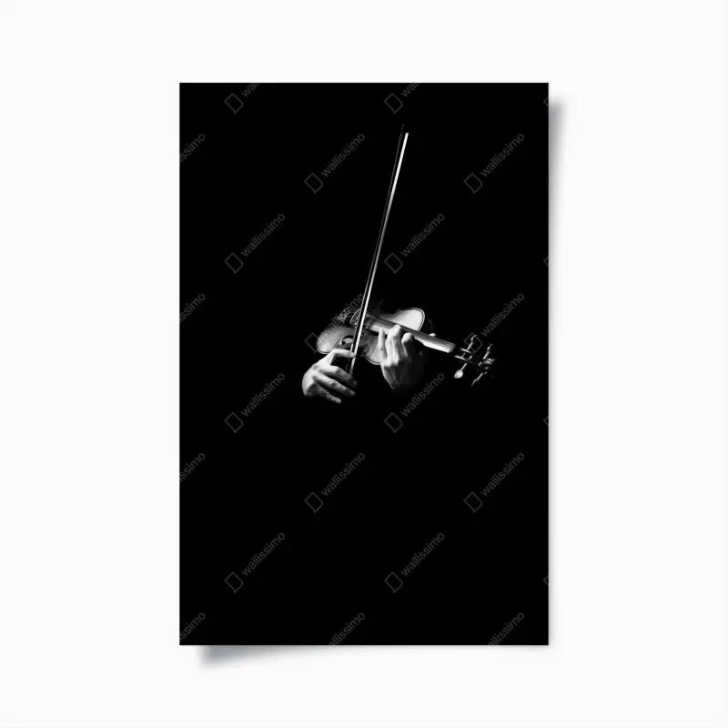Poster soulful violin in monochrome