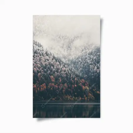 Poster autumn mist over mountain forest • Wallissimo®