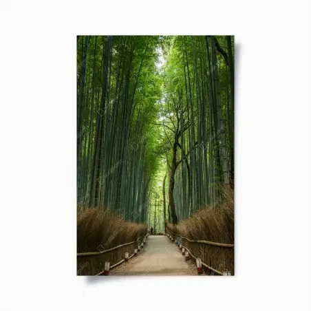 Poster serene bamboo grove pathway • Wallissimo®