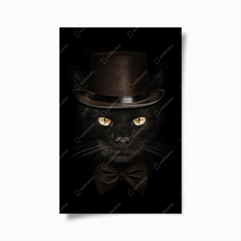 Poster dapper black cat in top hat and bow tie