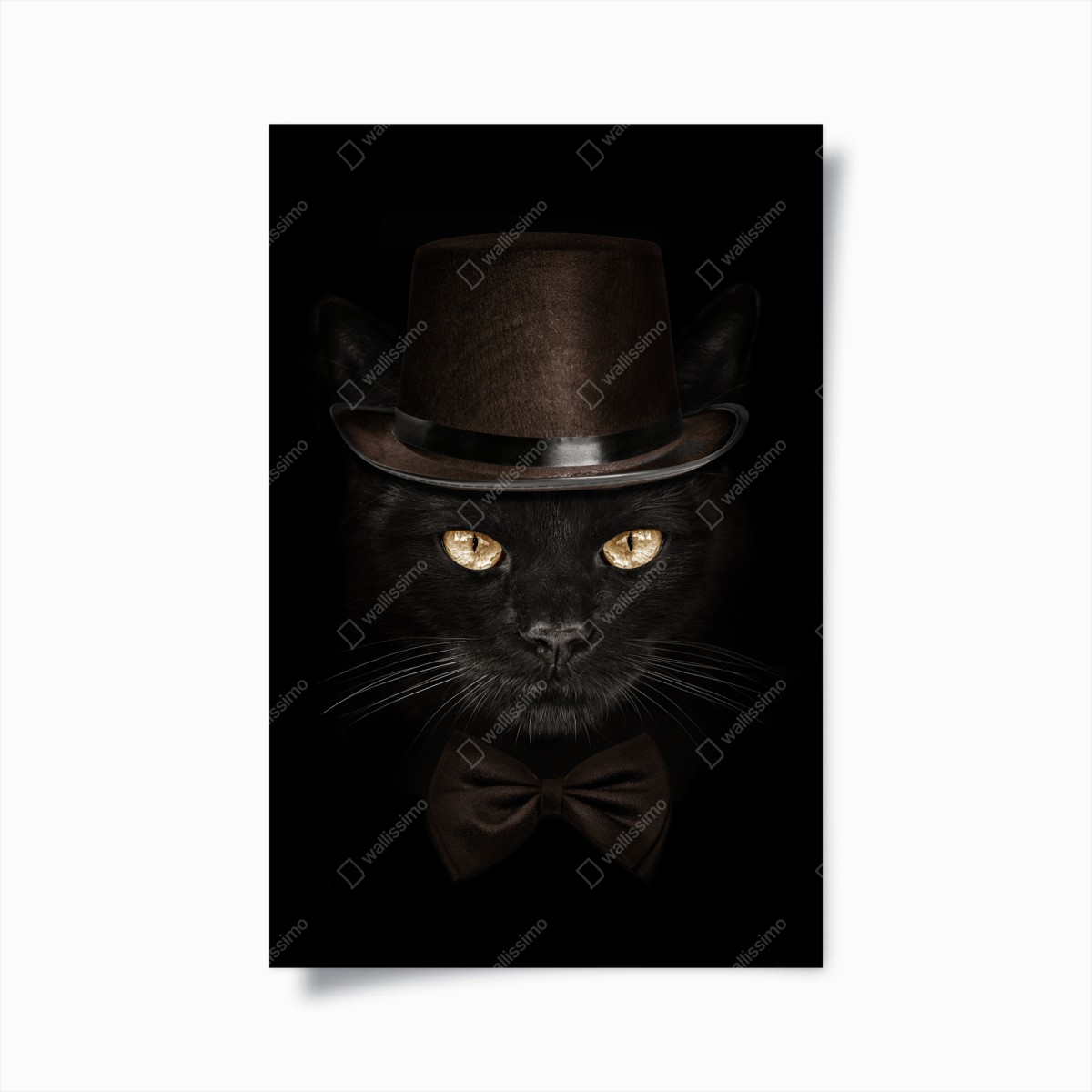 Poster dapper black cat in top hat and bow tie • Wallissimo®