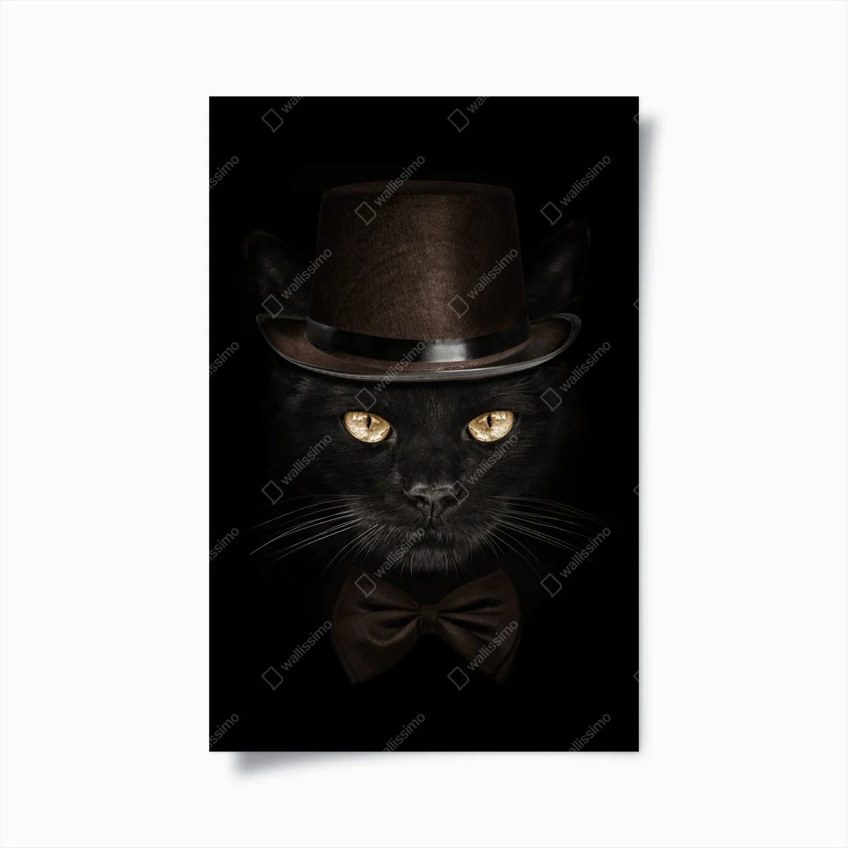 Poster dapper black cat in top hat and bow tie • Wallissimo® Poster dapper black cat in top hat and bow tie • Wallissimo®