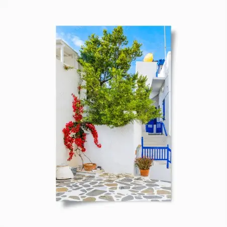 Poster sunlit Mediterranean courtyard with bougainvillea • Wallissimo®