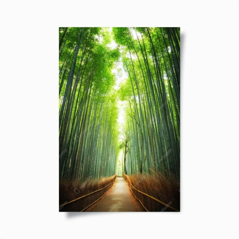 Poster pathway through Arashiyama bamboo grove