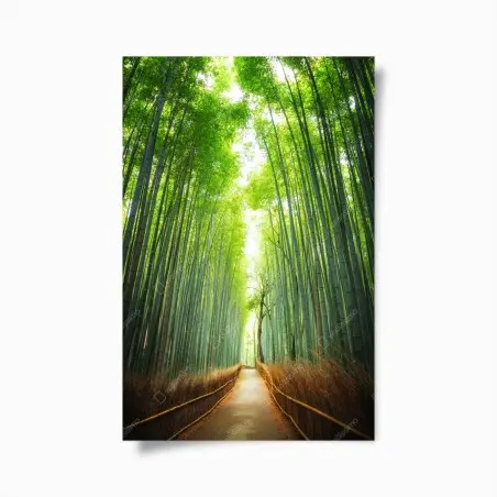 Poster pathway through Arashiyama bamboo grove • Wallissimo®