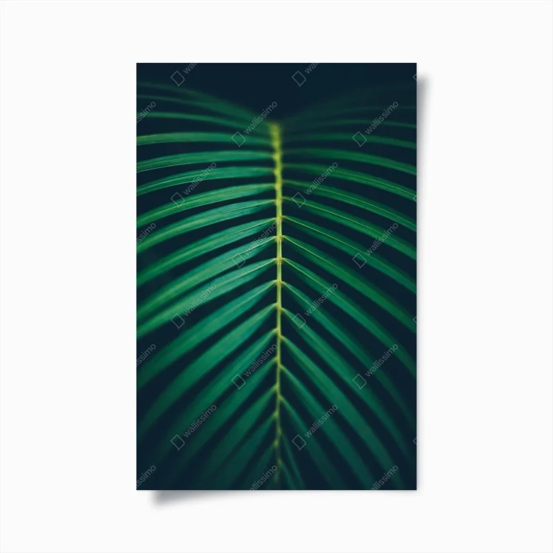 Poster vertical palm leaf close-up