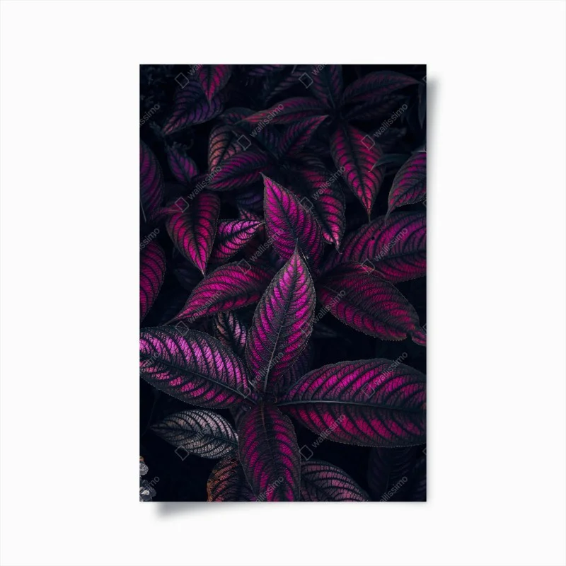 Poster vivid purple foliage pattern