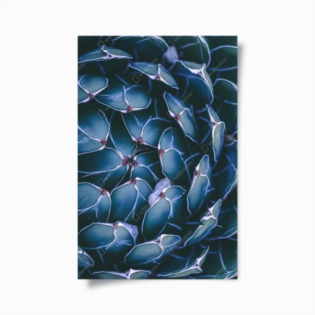 Poster geometric turquoise succulent close-up • Wallissimo®