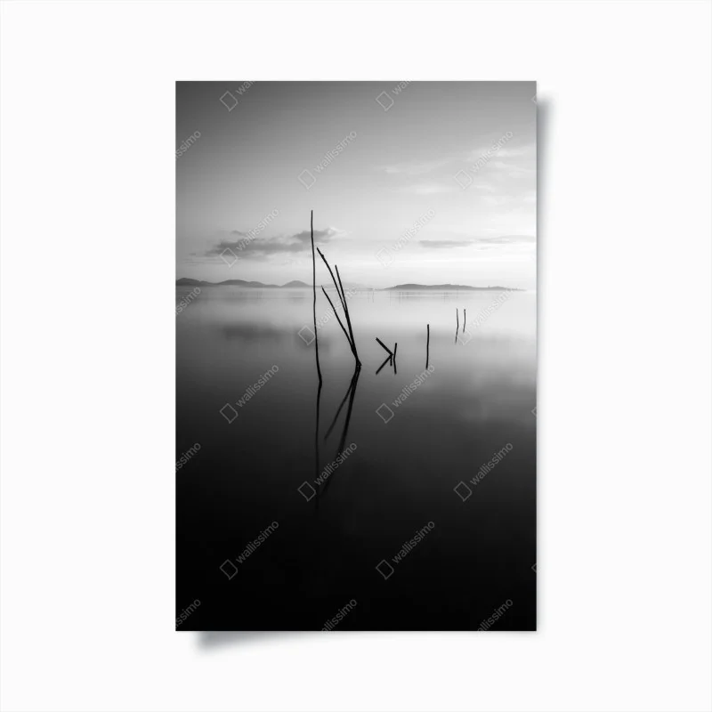 Poster tranquil monochrome lake with reflections