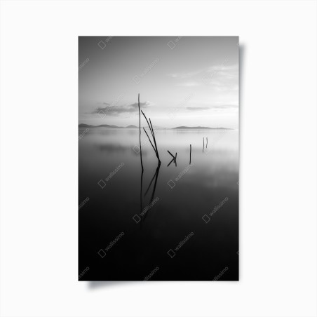 Poster tranquil monochrome lake with reflections • Wallissimo®