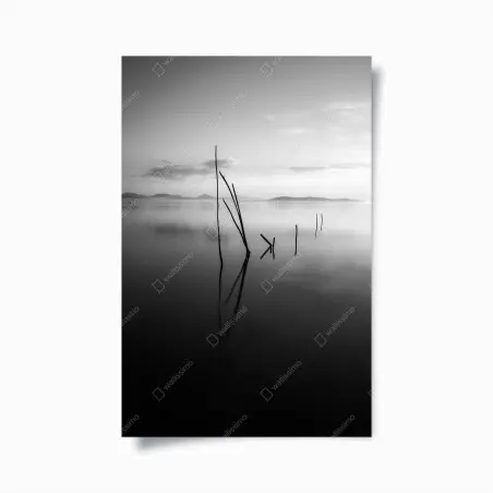 Poster tranquil monochrome lake with reflections • Wallissimo®