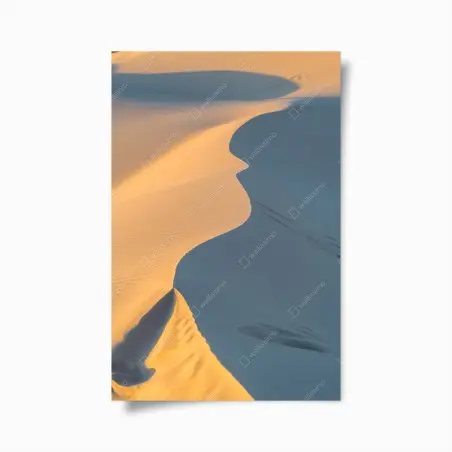 Poster golden dune curves • Wallissimo®