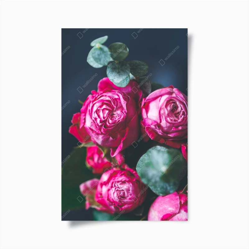 Poster pink rose bouquet macro print