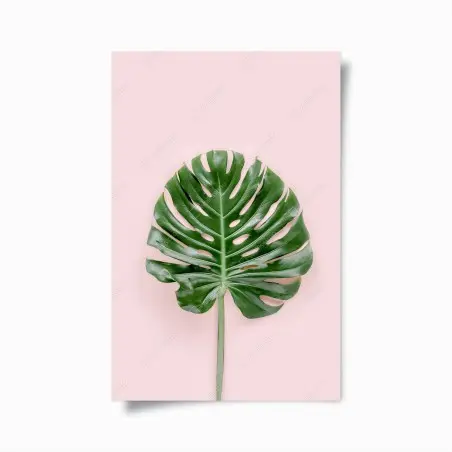 Poster monstera leaf on pastel pink background • Wallissimo®