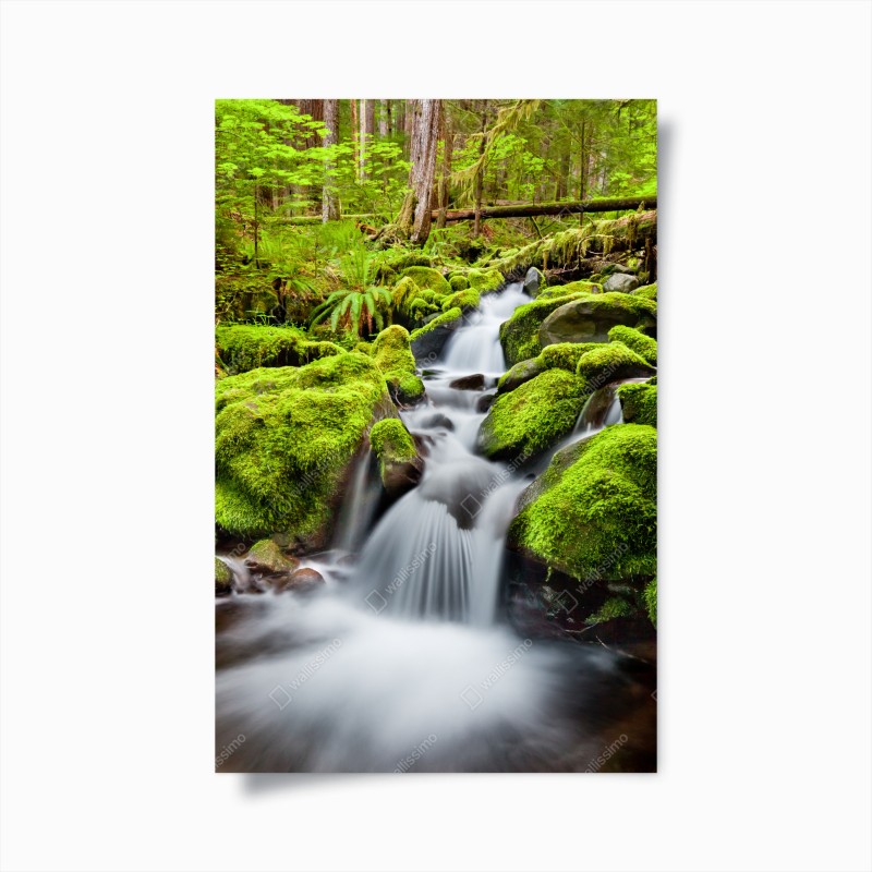 Poster mossy creek at Sol Duc Falls