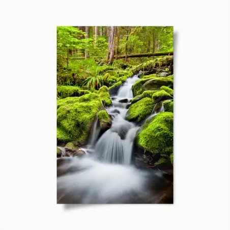 Poster mossy creek at Sol Duc Falls • Wallissimo®
