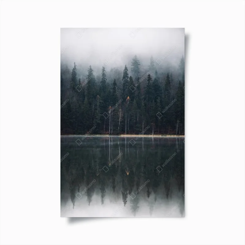 Poster misty forest reflection