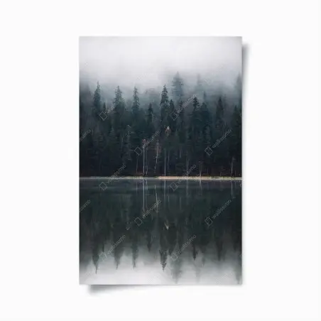 Poster misty forest reflection • Wallissimo®