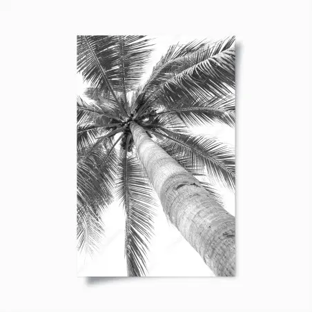 Poster monochrome palm tree from below • Wallissimo®