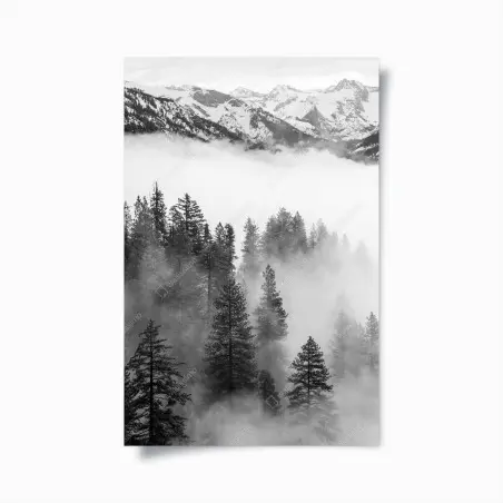 Poster misty Giant Forest, Sequoia National Park • Wallissimo®