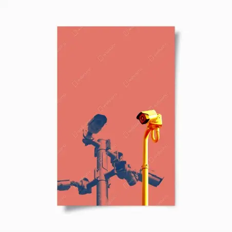 Poster duotone surveillance cameras on coral background • Wallissimo®