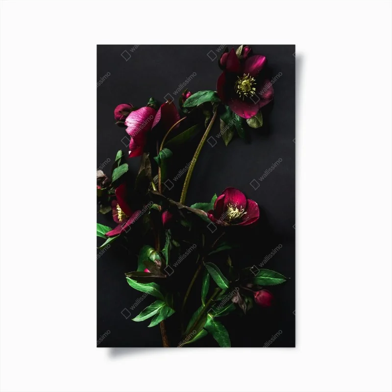Poster moody purple floral still life