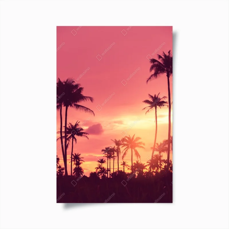 Poster pink tropical sunset with palms