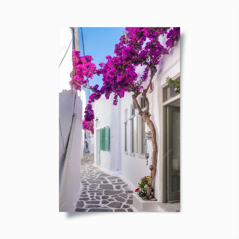 Poster sunlit Mediterranean alley with bougainvillea