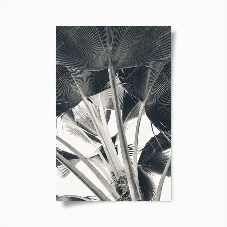 Poster tropical banana leaf composition • Wallissimo®