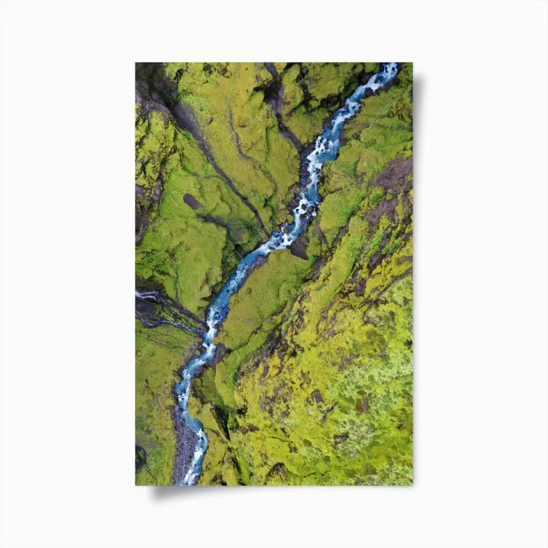 Poster aerial river through mossy canyon ⁕ Wallissimo®