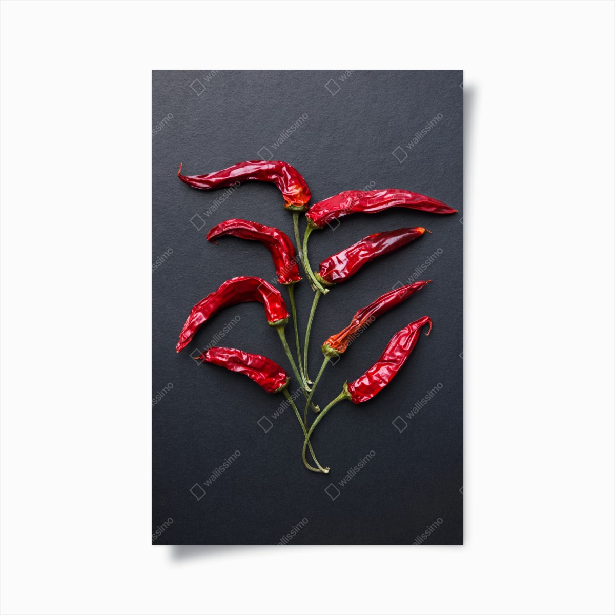 Poster red chili pepper culinary art • Wallissimo® Poster red chili pepper culinary art • Wallissimo®