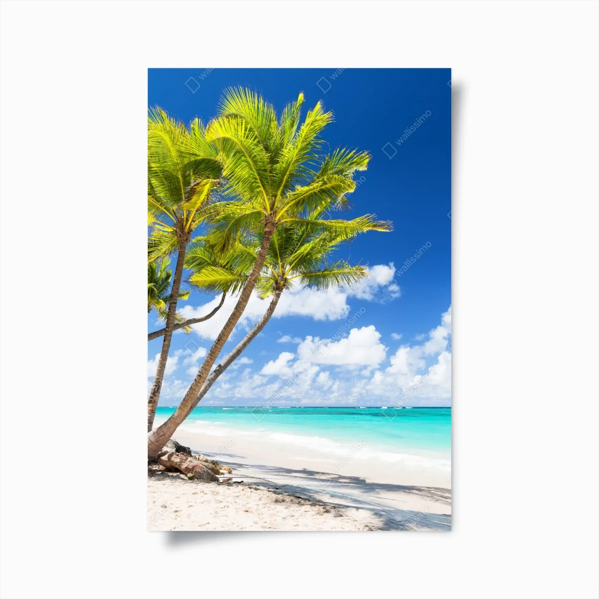 Poster tropical palm beach in Punta Cana • Wallissimo® Poster tropical palm beach in Punta Cana • Wallissimo®