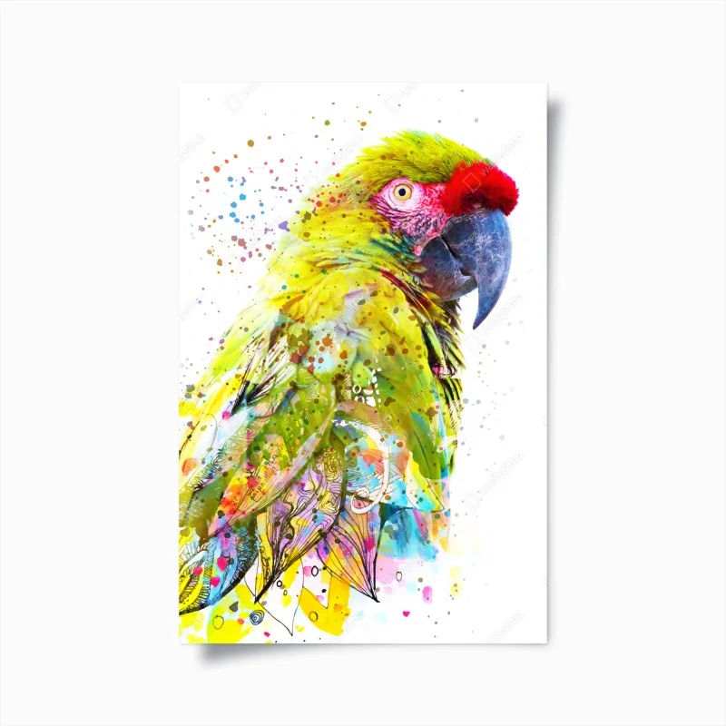 Poster vibrant watercolor parrot portrait