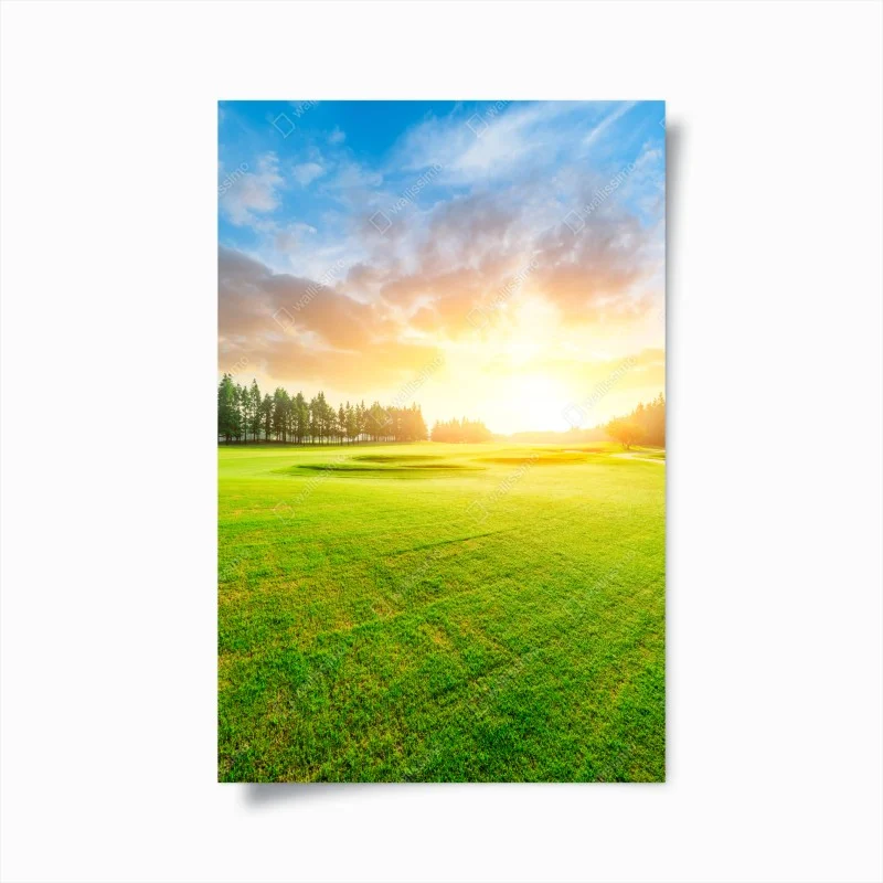 Poster sunlit meadow and forest at sunrise