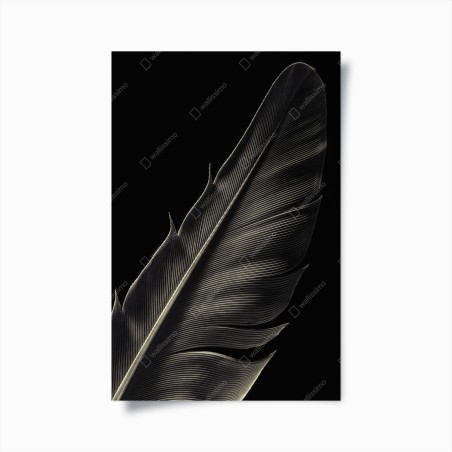 Poster delicate feather study in monochrome • Wallissimo®