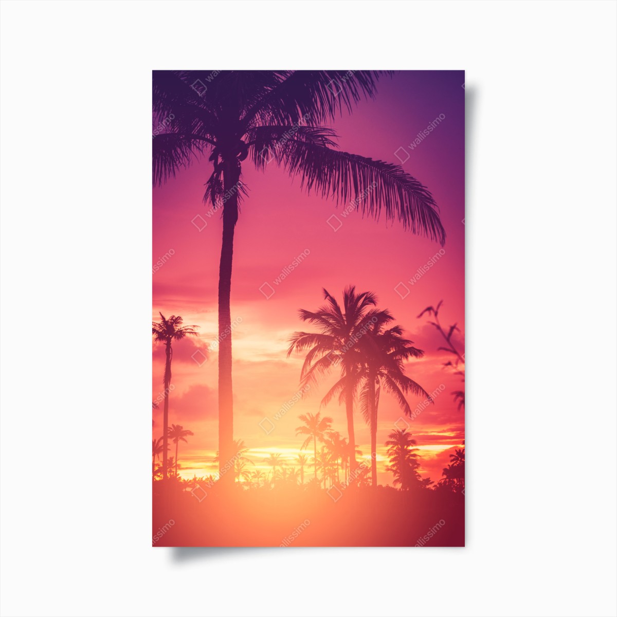 Poster tropical sunset palm silhouettes • Wallissimo® Poster tropical sunset palm silhouettes • Wallissimo®
