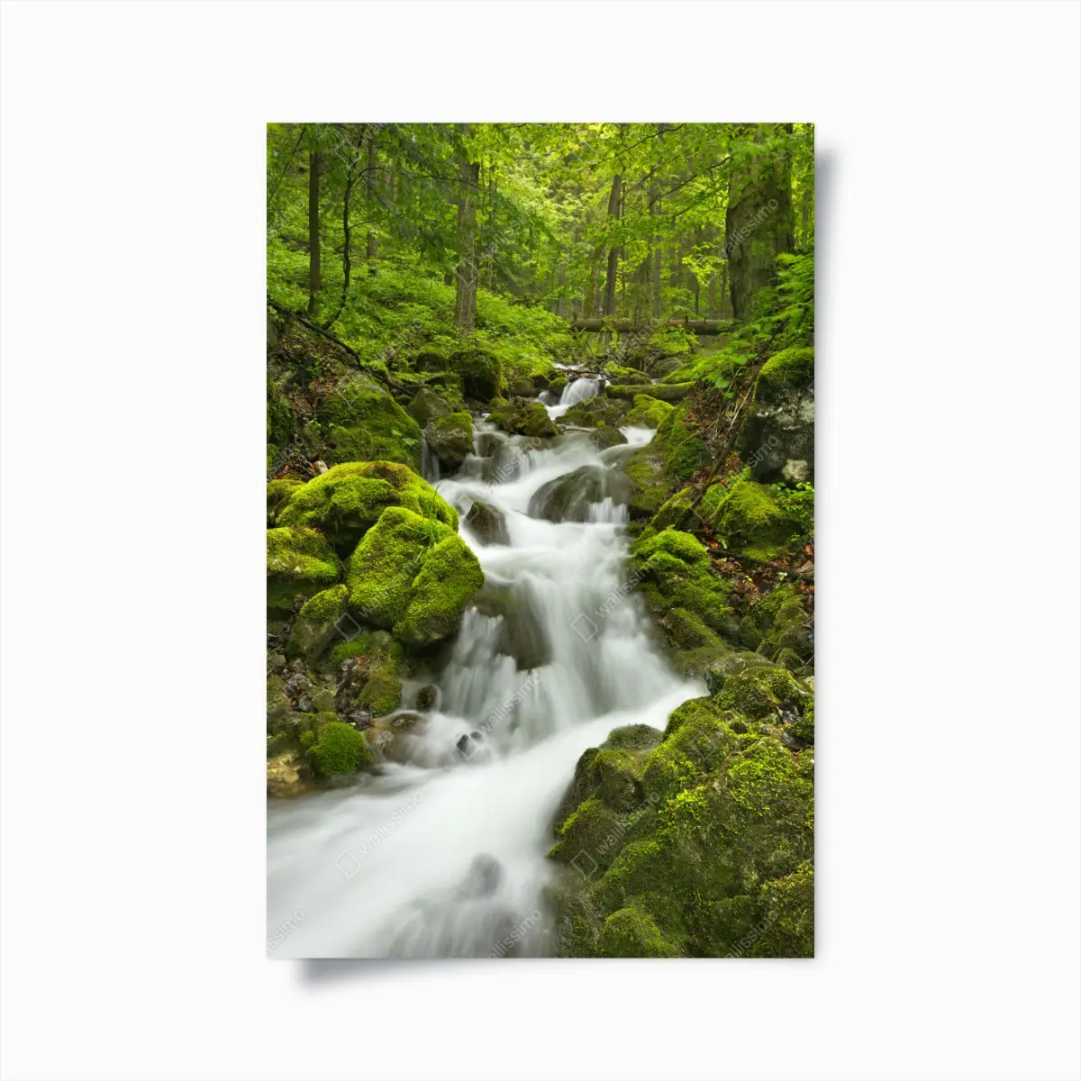 Poster lush mossy waterfall in Slovenský Raj • Wallissimo®