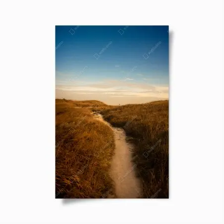 Poster sunlit dune path to the coast • Wallissimo®