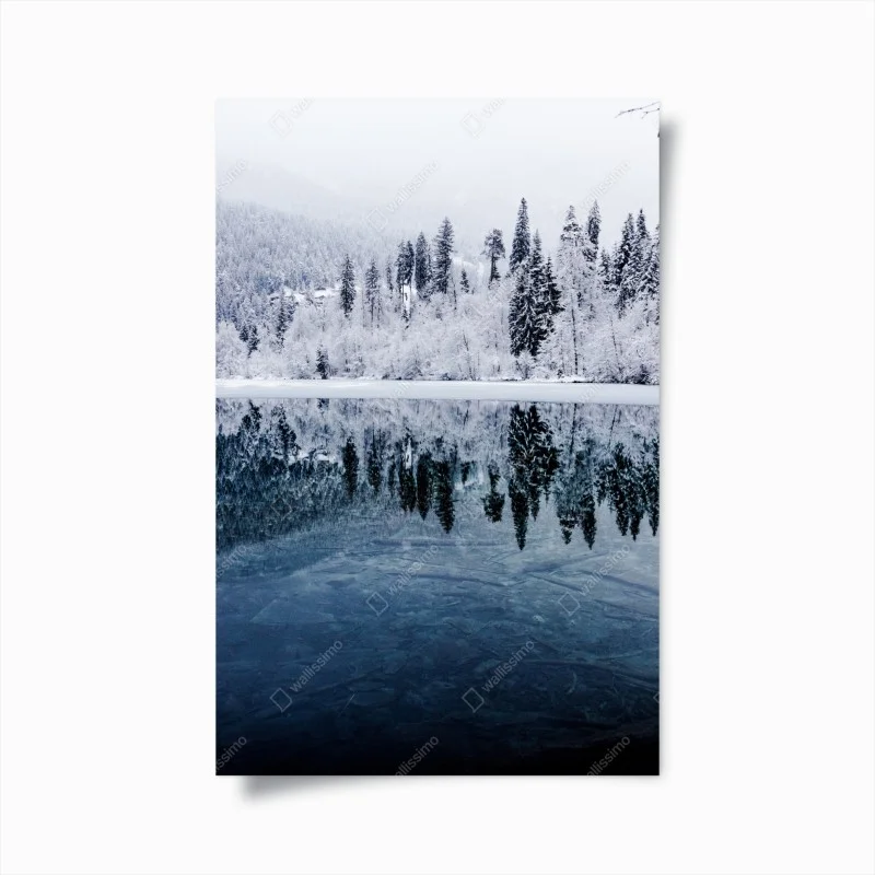 Poster winter lake reflection in snowy forest