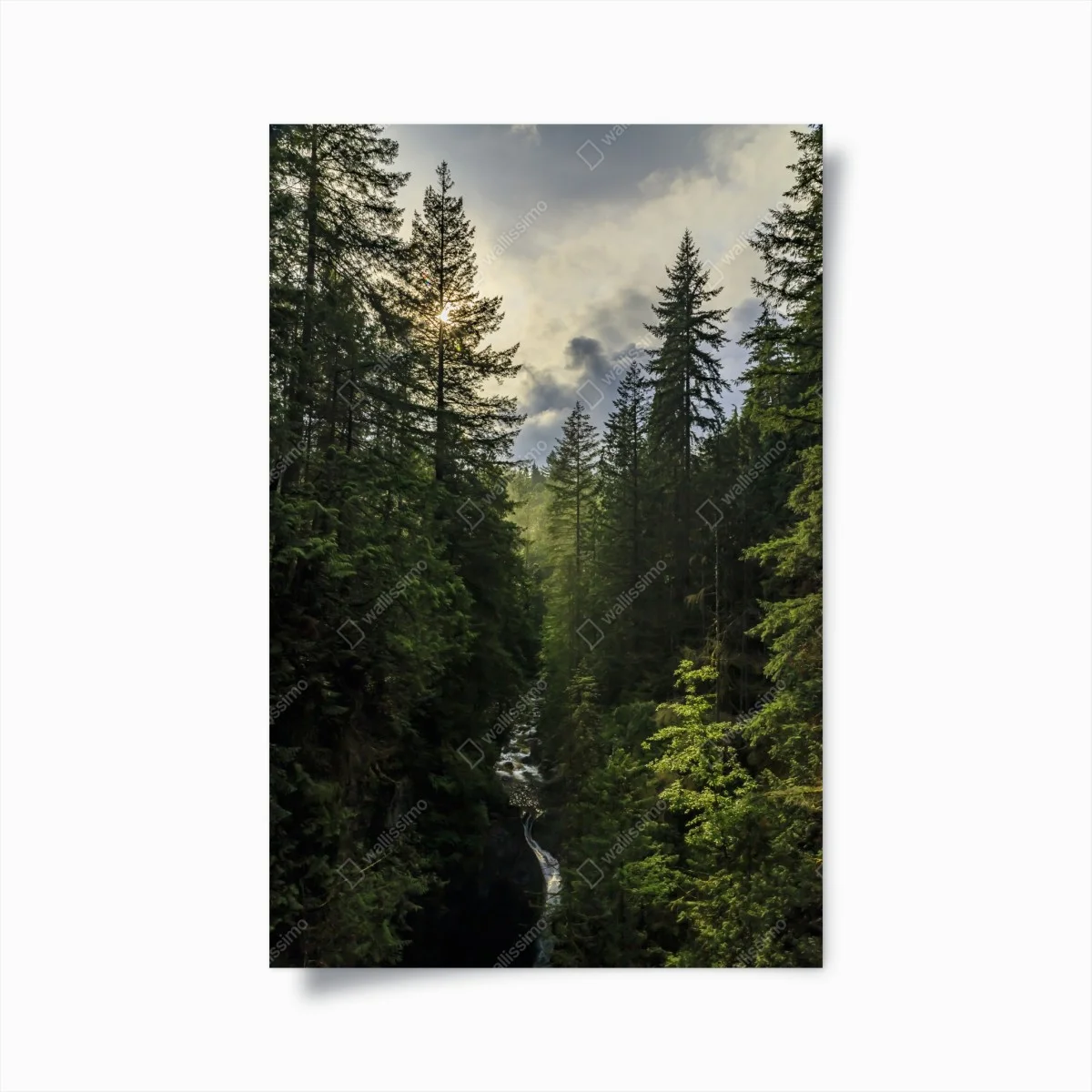 Poster misty evergreen forest waterfall • Wallissimo® Poster misty evergreen forest waterfall • Wallissimo®