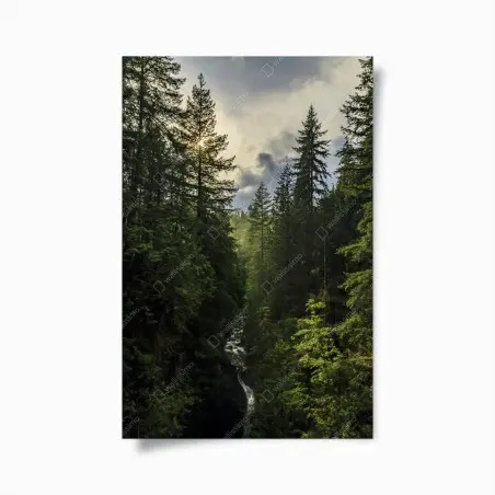 Poster misty evergreen forest waterfall • Wallissimo®