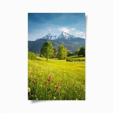 Poster alpine spring meadow beneath snowcapped peaks • Wallissimo®