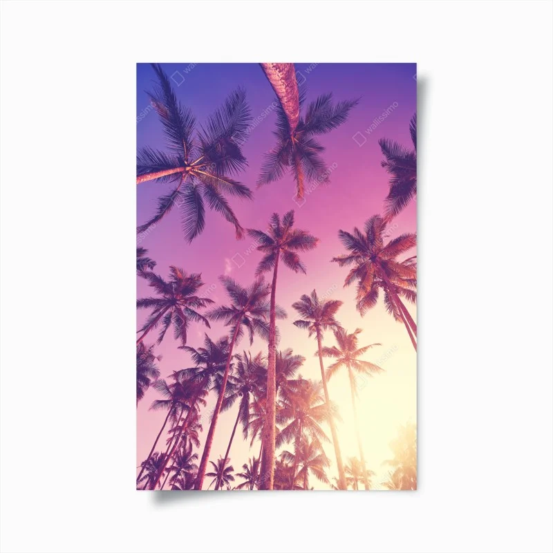 Poster tropical palms at sunset