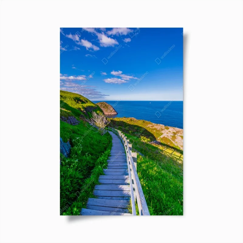 Poster coastal boardwalk overlooking blue ocean