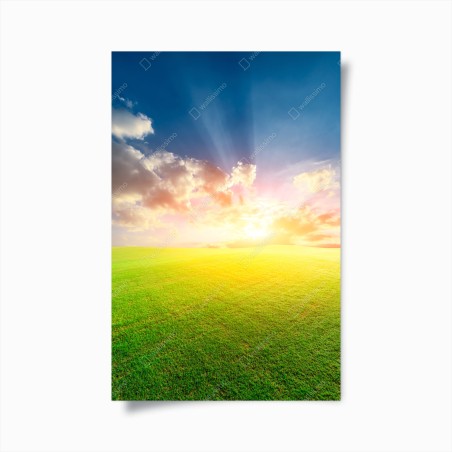 Poster sunlit meadow at sunset • Wallissimo®